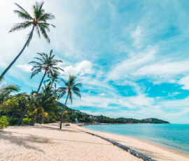Beautiful tropical beach sea and sand with coconut palm tree on blue sky and white cloud for travel and vacation